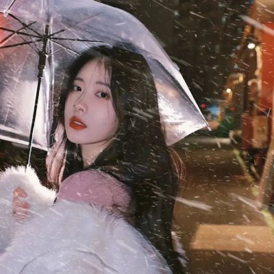 一条安达鲁狗