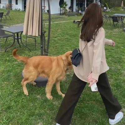 恋爱恐惧症